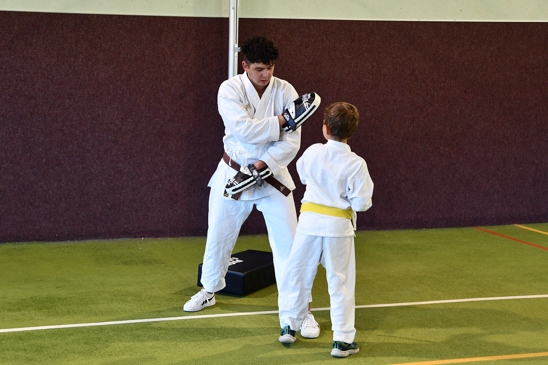tiger-training-1