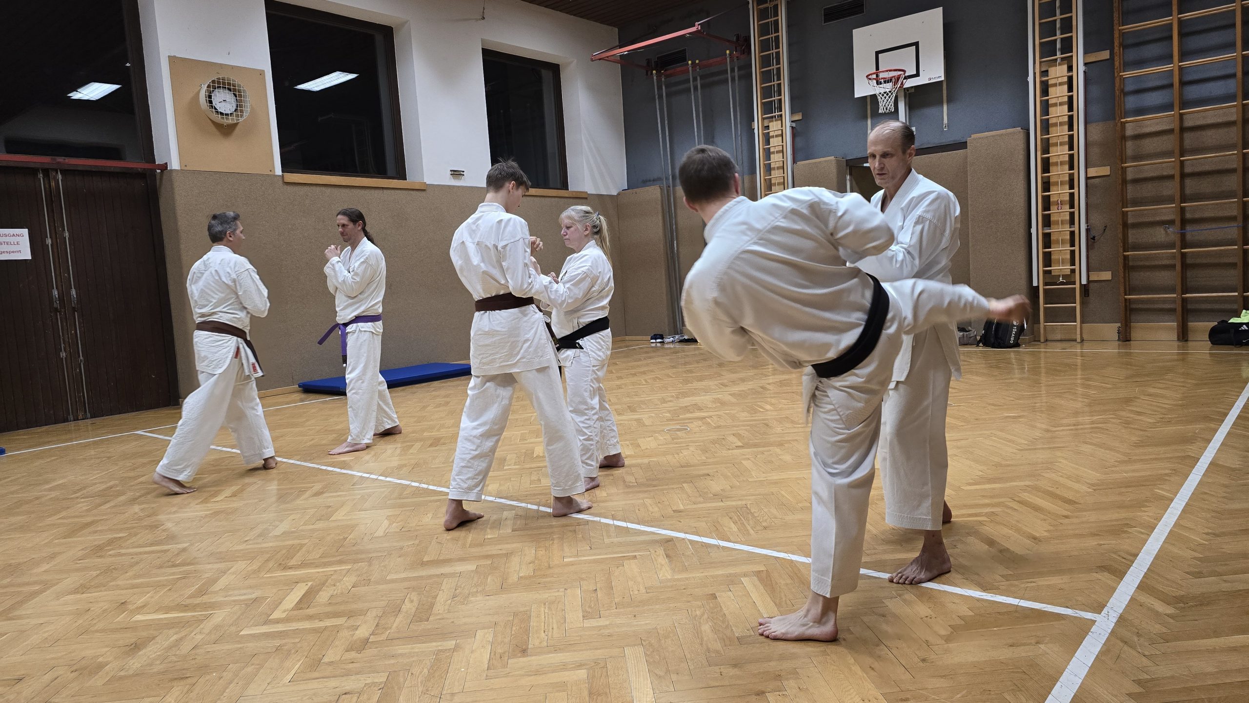Karate Adler Gruppe